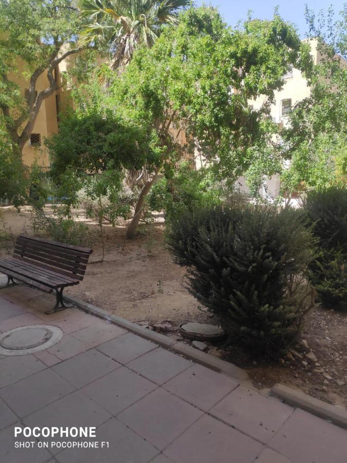 Appartement סוויטה של אלון à Arad Extérieur photo