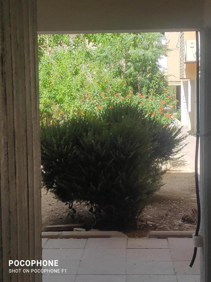 Appartement סוויטה של אלון à Arad Extérieur photo